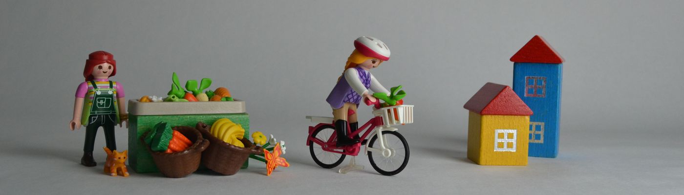 Carfree Shopping Day